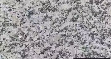 儋州 芙蓉白（芝麻白大花）火烧面