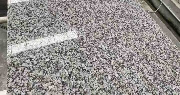 儋州 芙蓉白光面