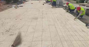 儋州黄金麻荔枝面地铺案例