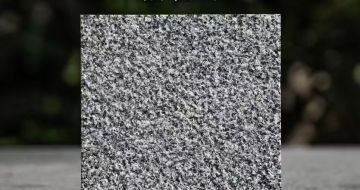 儋州 芝麻黑荔枝面