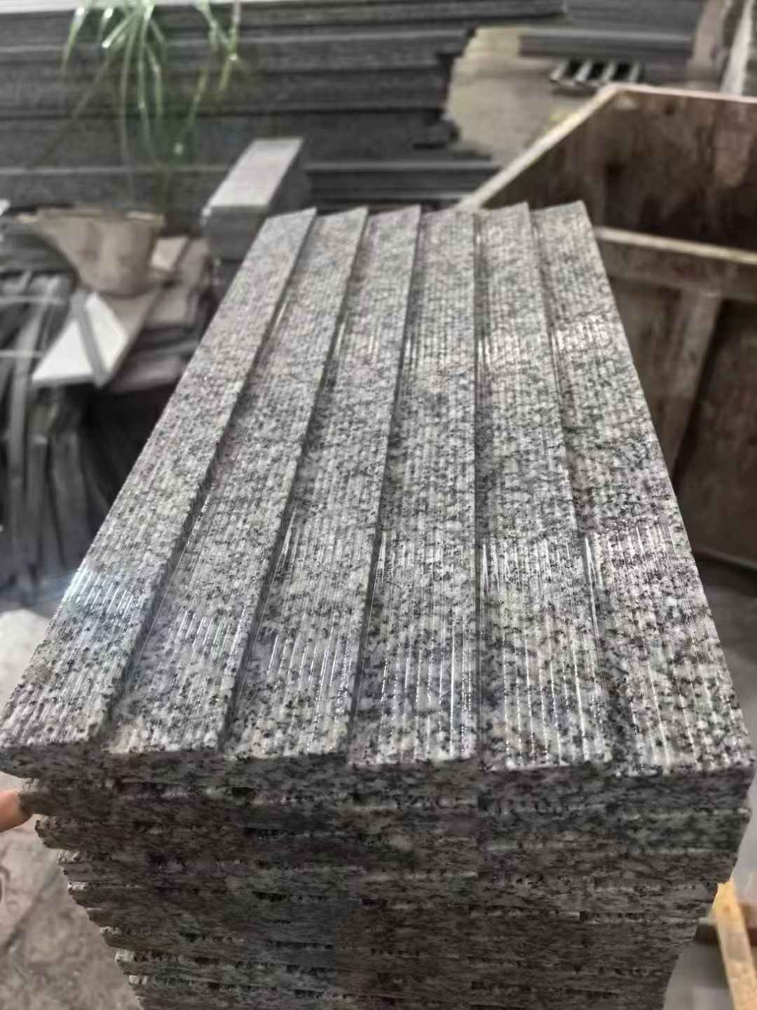 儋州 狼牙石