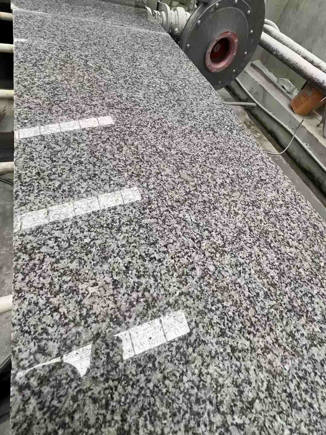 儋州 芙蓉白光面