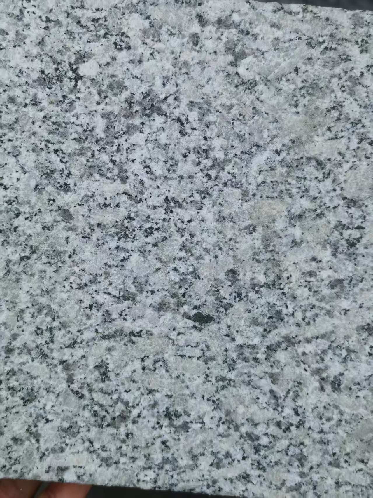 儋州 芙蓉白火烧面