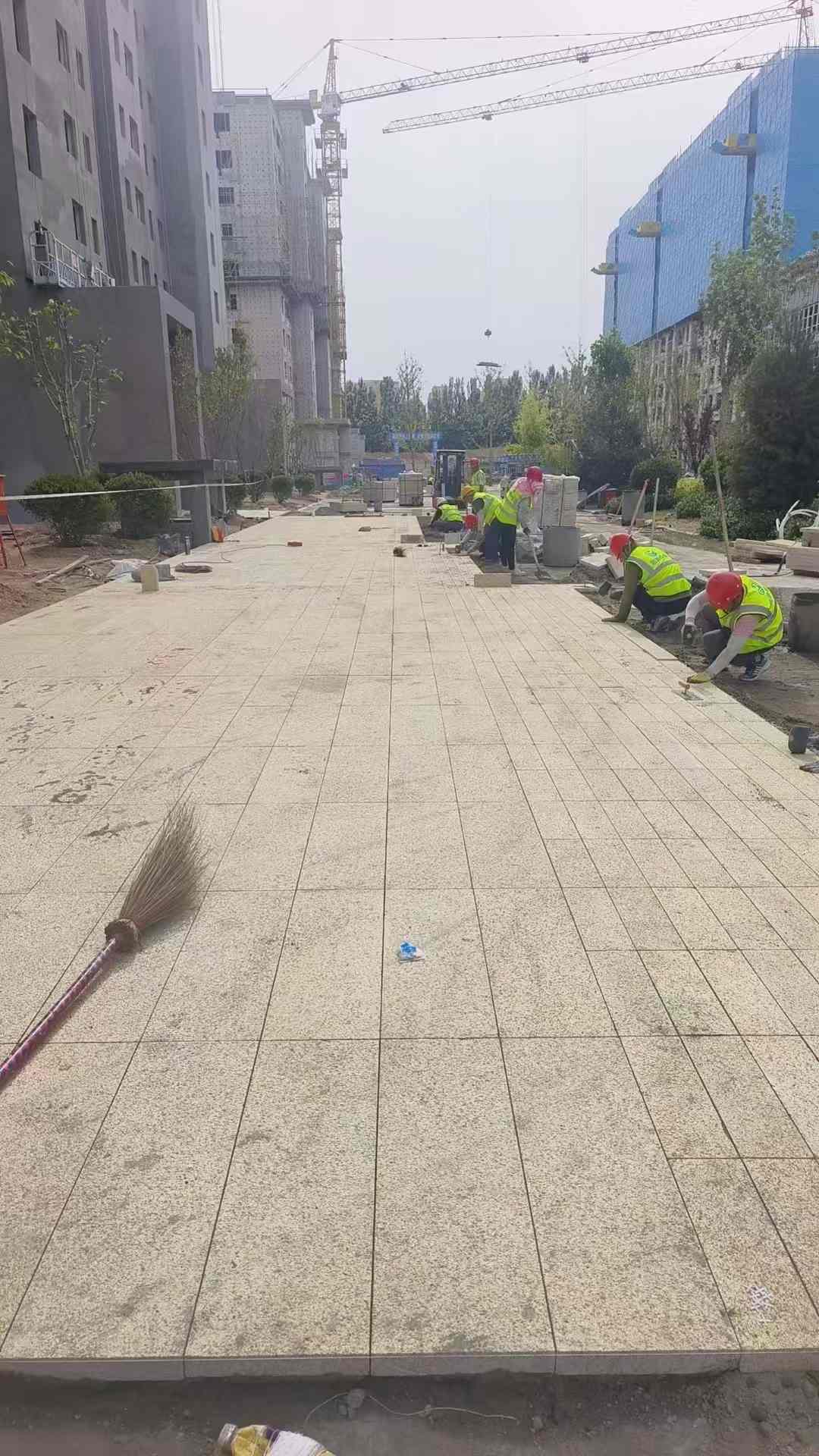 儋州黄金麻荔枝面地铺案例